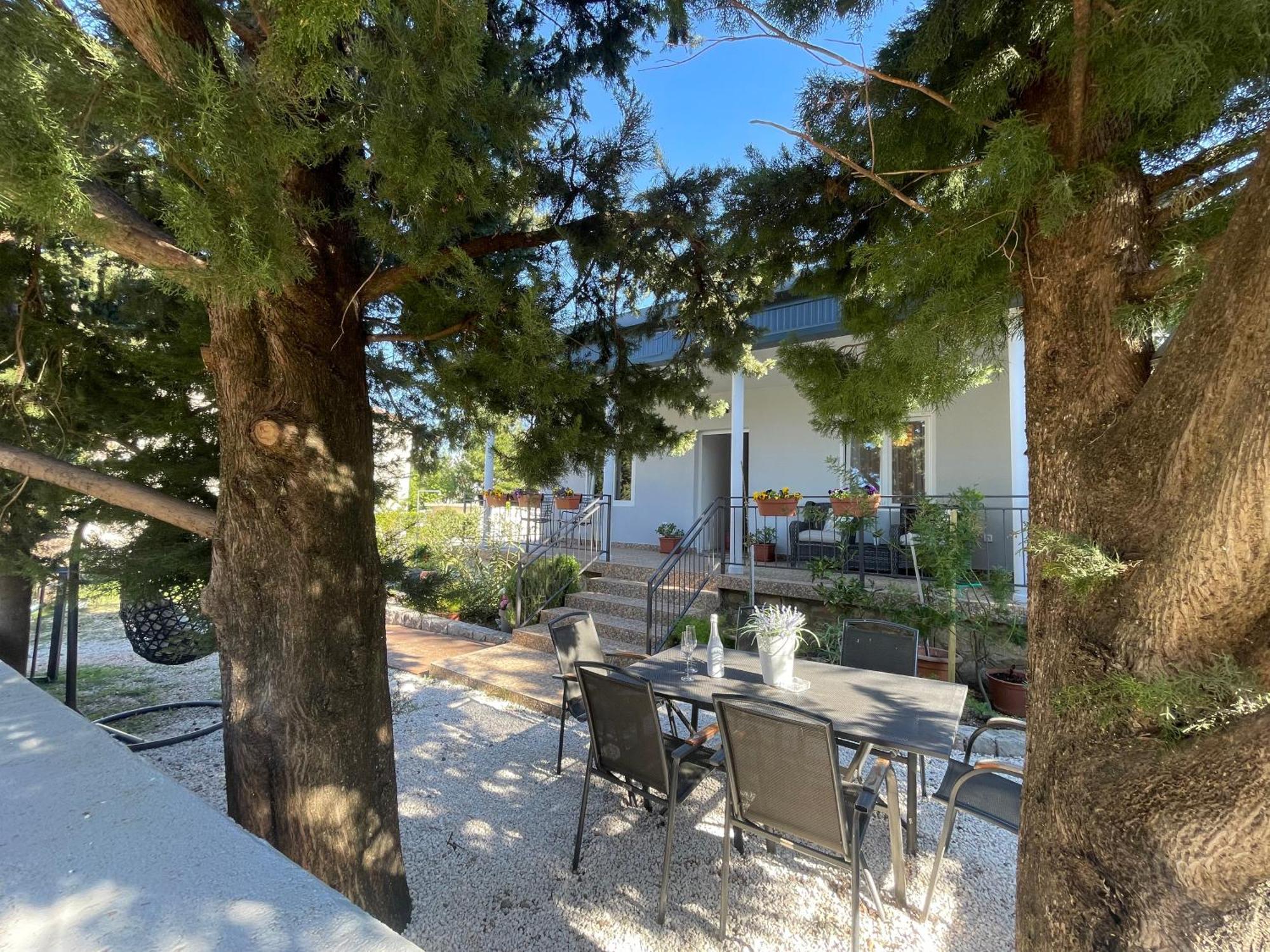 Lola - Large Outdoor Area